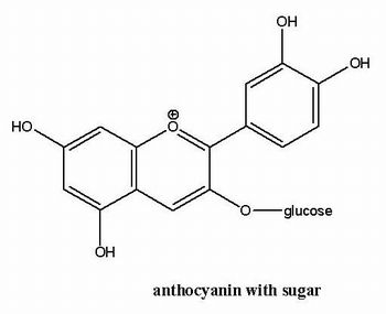 Formule de l'anthocyanine