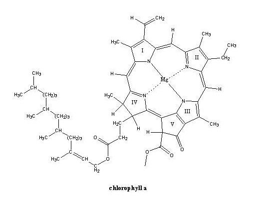 Chlorophyll a Formula