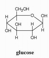 Molécula de glucosa