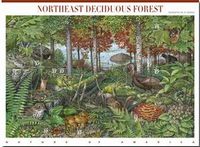 Northeast Stamp