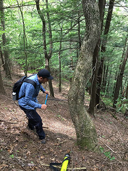 [Using an increment borer to core the 234 year-old white oak at the Mohawk Trail State Forest that has only very recently reached the canopy. Photo by Neil Pederson]