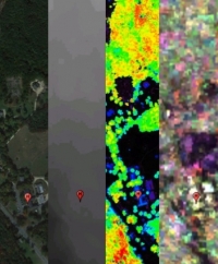 remote sensing data of Prospect Hill at Harvard Forest