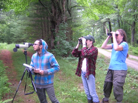 Summer Research Program Students Search For Birds