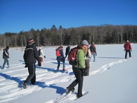 Winter Break students explore Harvard Pond