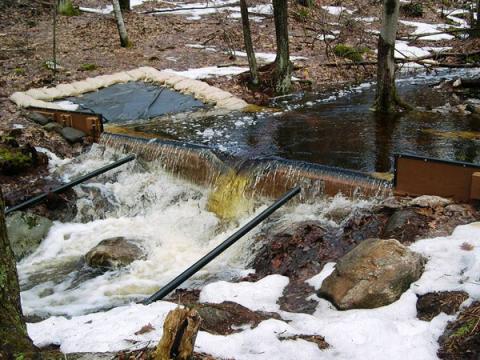 Big Weir in Nelson Brook