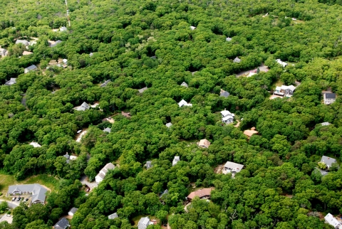 Aerial View Of Martha's Vineyard Show Forest Decline
