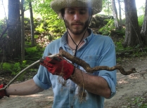 Summer Student examines root