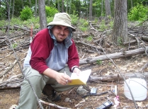 Summer Research Program student in hemlock removal experiment