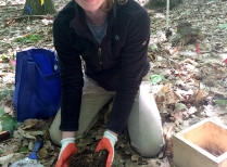Emily Whalen collecting soil samples