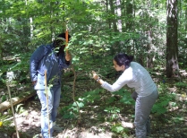 Summer Research Students Inspect A Shrub