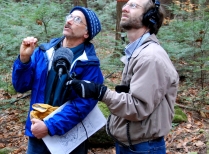 Harvard Forest Ecologist Speaks To NPR Reporter About Carbon Sequestration