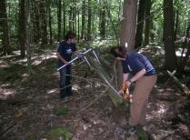 REU students sample coarse woody debris