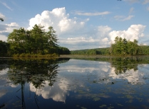 View of Harvard Pond