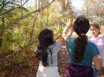 Elementary school students tour the Harvard Forest natural history trail