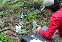 Photo shows 2023 intern Fernando Migueleña measuring methane in soil at Harvard Forest.