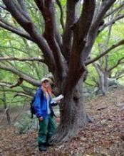 Posy Busby with American Beech Tree