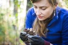 Photo shows Jenny Bhatnagar examining mycorrhizael fungi