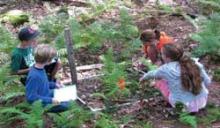 Hemlock Citizen Scientist project 