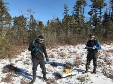 Photo shows researchers conducting fieldwork during a Bullard Fellowhsip