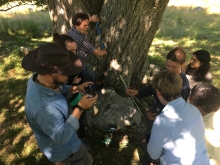 In dappled shade, half a dozen scientists, students, and filmmakers gather around a thin tree core just brought out of the thick tree trunk they are next to.