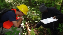 Harvard Forest Summer Research Program students