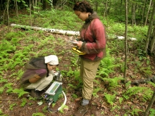 Harvard Forest Summer Research Program Students 
