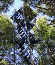 Tower at Harvard Forest 