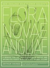 Flora Nova  Angliae cover 