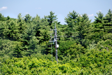 Harvard Forest eddy flux tower