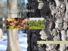 Harvard Forest Biennial Report 2013