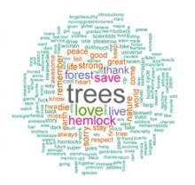 Hemlock Hospice Wordle