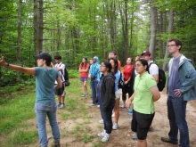 a group of Harvard students observe a field research site on a forest tour in summer