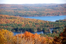 Lakes surrounded by trees during the fall.