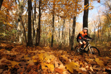 A bicyclist in the woods surrounded by fall foliage. 