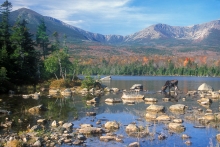 A bull moose drinks from Sandy Stream Pond in Maine in autumn