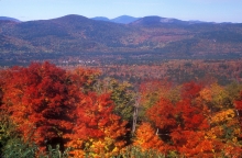 A photo by John Burk showing trees during the fall with mountains in the background