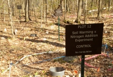 Image shows a research sign at the Harvard Forest soil warming plots. By David Foster. 