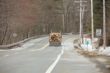 Image shows logs on the back of a logging truck on a forested state road. By David Foster.