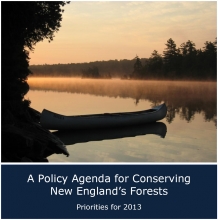 Policy agenda cover