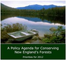 Policy Agenda Cover