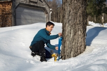 Bullard Fellow Joshua Rapp tapping maple trees at Harvard Forest 