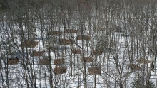 Harvard Forest soil warming plots.