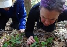 Photo shows Schoolyard Ecology instructors examining a plant