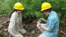 Sydne Record with Summer Student Collecting Ants