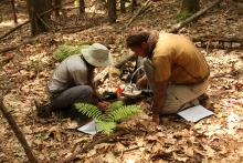 summer students soil respiration