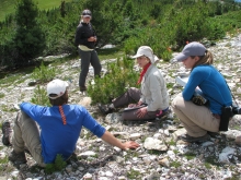 Whitebark pine research group at work in Alberta, Canada