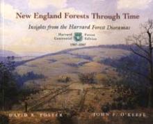 NE Forests Through Time Cover