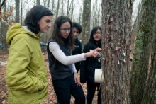 Pamela Templer studying impacts to trees from snow 