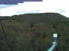 Harvard Forest web cam over canopy 