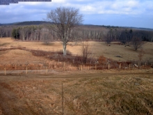 The view from one of the research cameras showing an open pasture. 